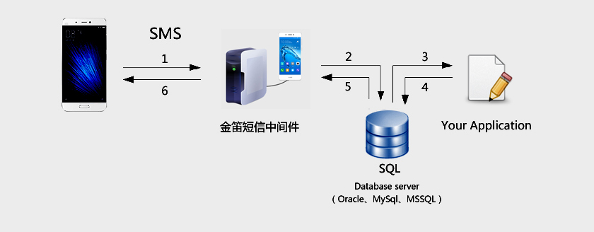 应用领域